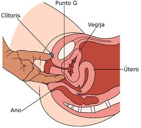 Cómo estimular el punto femenino